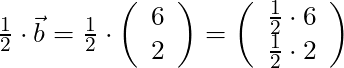 \frac{1}{2} \cdot \vec{b} = \frac{1}{2} \cdot \left( \begin{array}{c} 6 \\ 2 \end{array} \right) = \left( \begin{array}{c} \frac{1}{2} \cdot 6 \\ \frac{1}{2} \cdot 2 \end{array} \right)