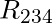 R_{234}