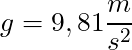 g = 9,81 \dfrac{m}{s^2}