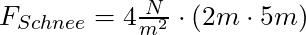 F_{Schnee} = 4 \frac{N}{m^2} \cdot (2 m \cdot 5 m)