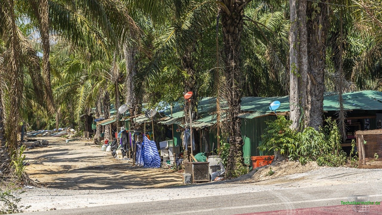 Siedlung auf Haiti